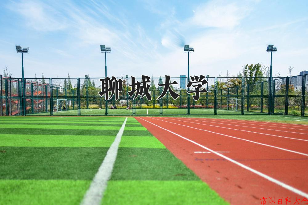 聊城大学近三年在四川录取分数线(含2021-2023最低分)